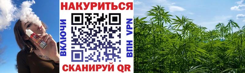 ГАШ Волоколамск