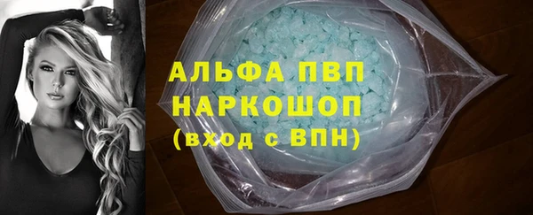 индика Мегион