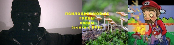 альфа пвп Верхнеуральск