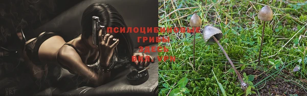 альфа пвп Верхнеуральск