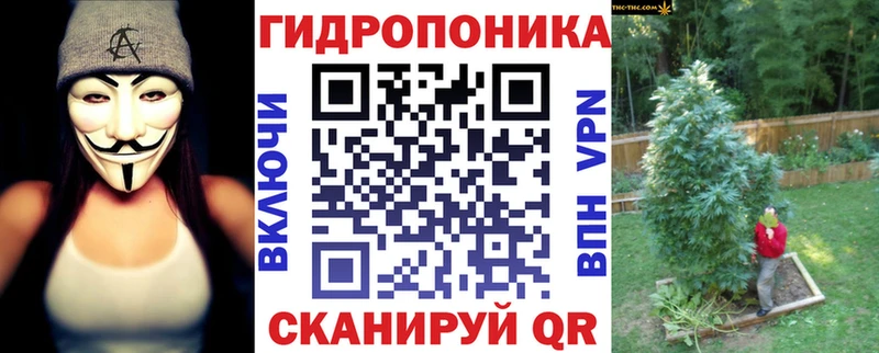 магазин    блэк спрут как войти  Каннабис семена  Волоколамск 